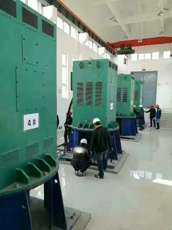 新竹镇某污水处理厂使用我厂的立式高压电机安装现场